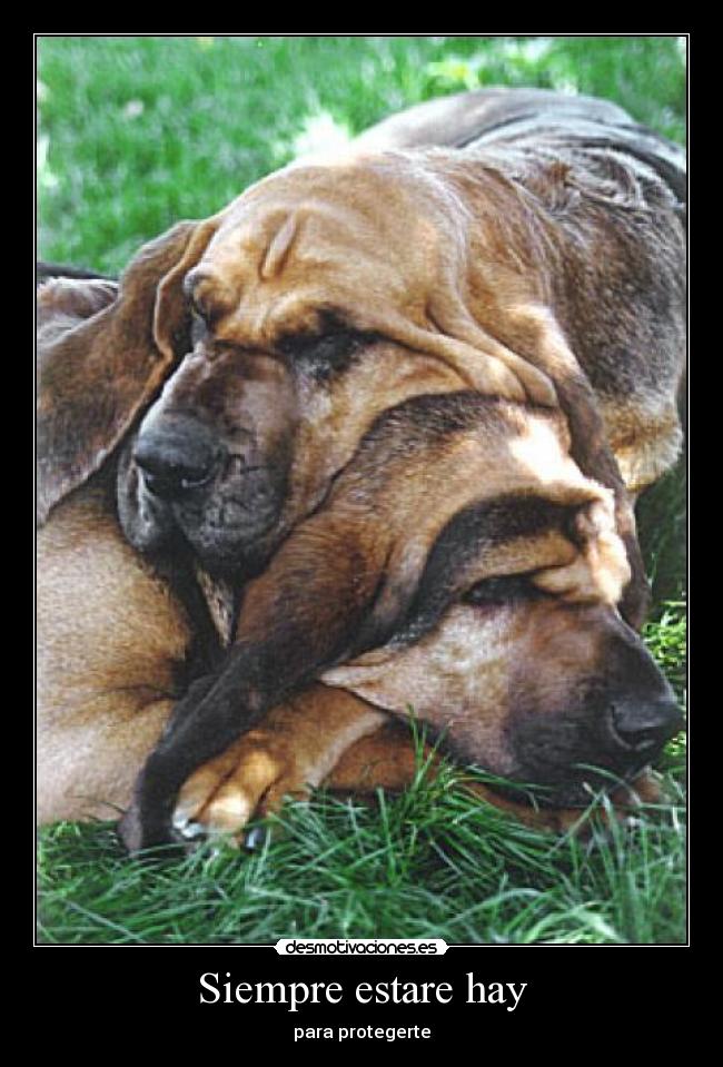 Siempre estare hay - 