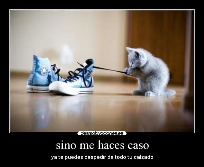 sino me haces caso - ya te puedes despedir de todo tu calzado
