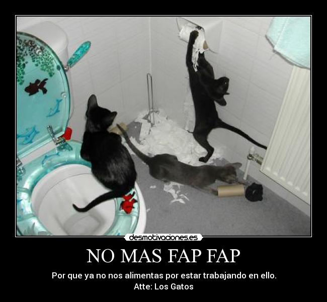 NO MAS FAP FAP - Por que ya no nos alimentas por estar trabajando en ello.
Atte: Los Gatos