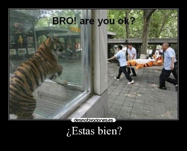 ¿Estas bien? -