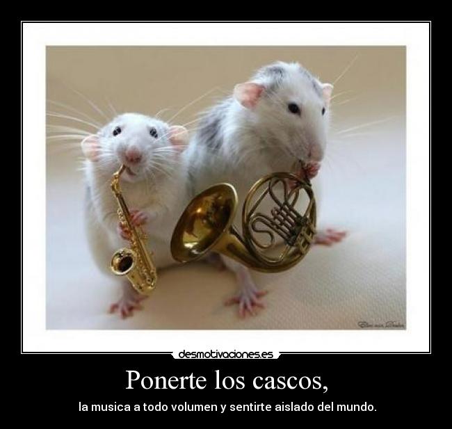 Ponerte los cascos, - 