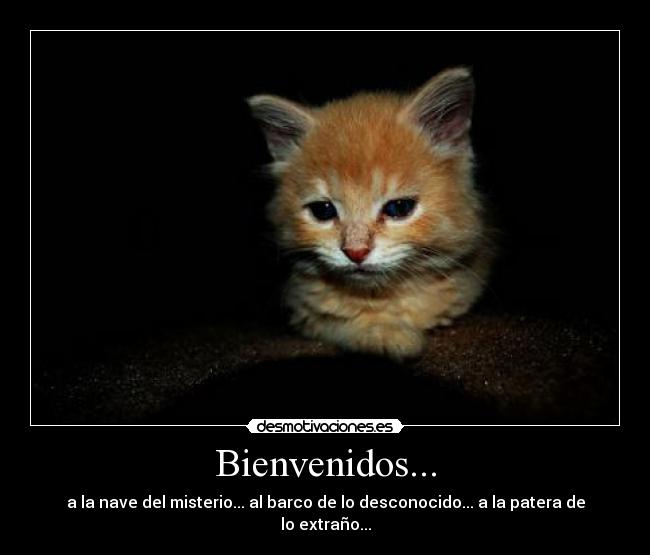 Bienvenidos... - 