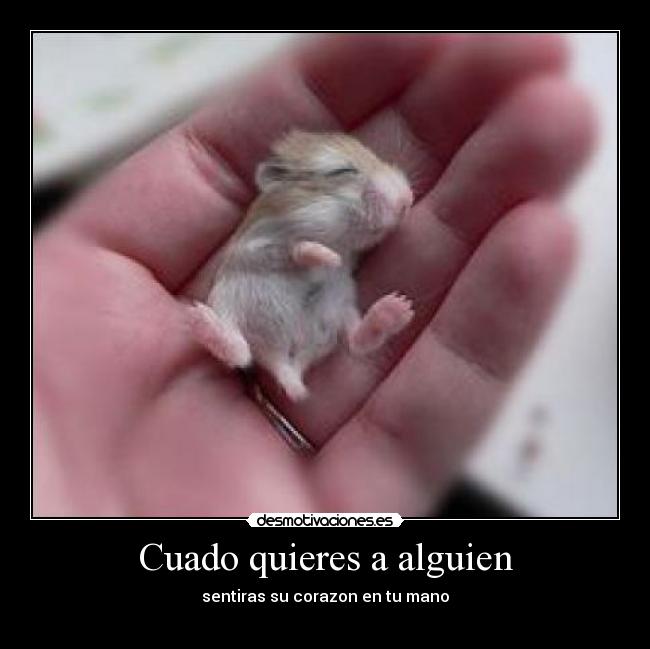Cuado quieres a alguien - 