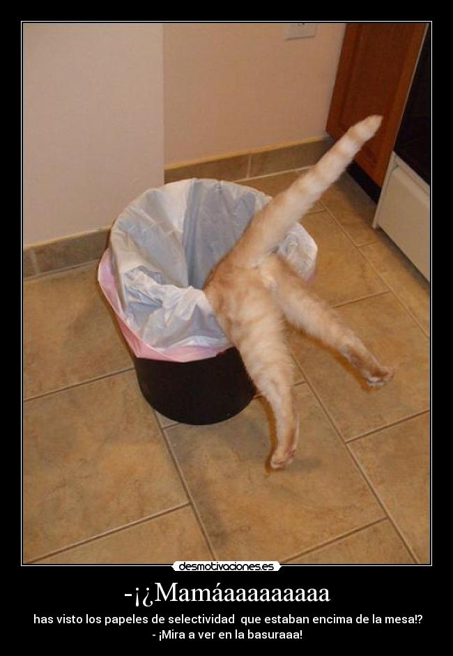 -¡¿Mamáaaaaaaaaa - has visto los papeles de selectividad que estaban encima de la mesa!?
- ¡Mira a ver en la basuraaa!