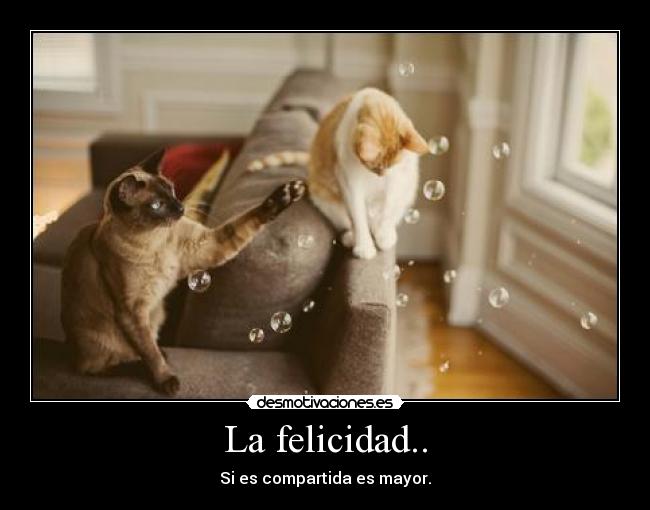 La felicidad.. - Si es compartida es mayor.