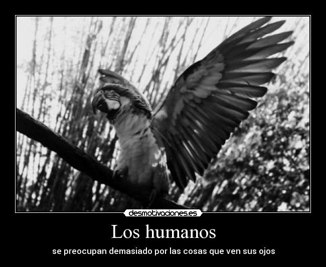 Los humanos -