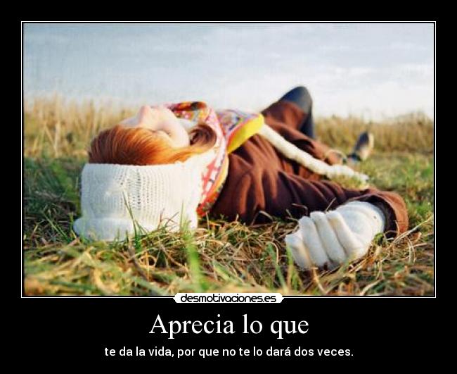 carteles vida desmotivaciones