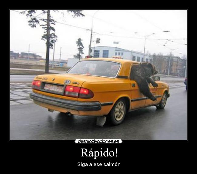Rápido! - 