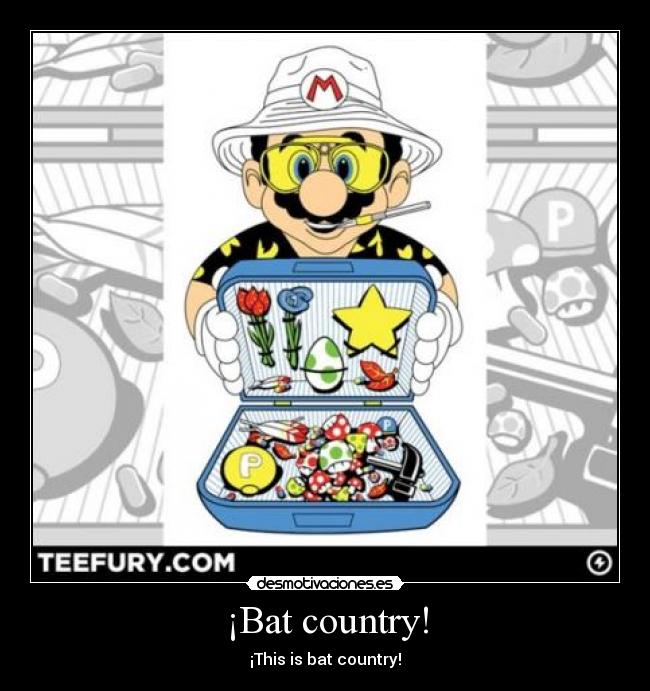 ¡Bat country! - ¡This is bat country!