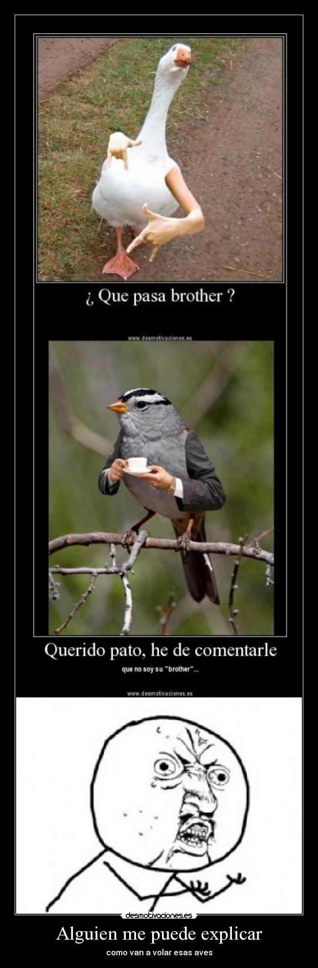 Alguien me puede explicar -