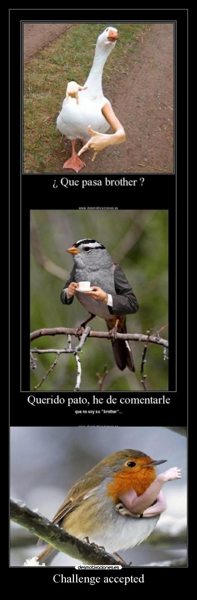 Challenge accepted -