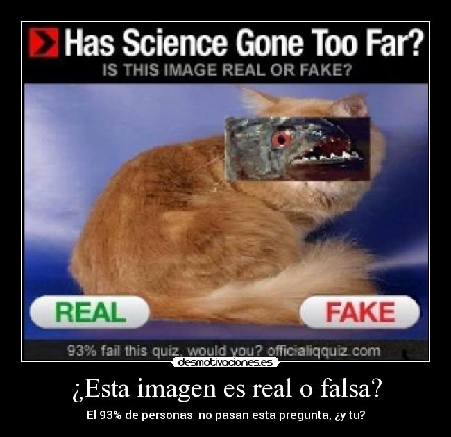 carteles amor desmotivaciones