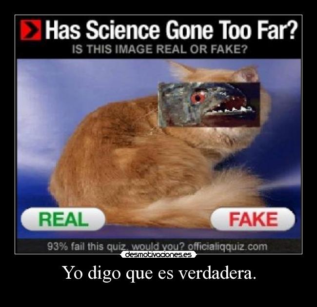 Yo digo que es verdadera. - 