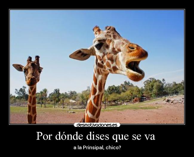 Por dónde dises que se va -