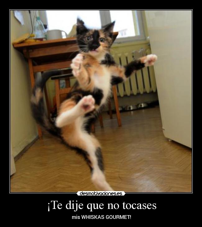 ¡Te dije que no tocases - 