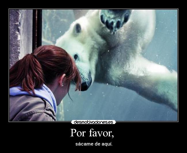 Por favor,  - 