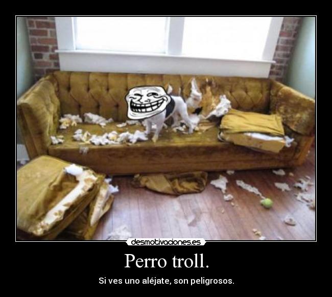Perro troll. - Si ves uno aléjate, son peligrosos.