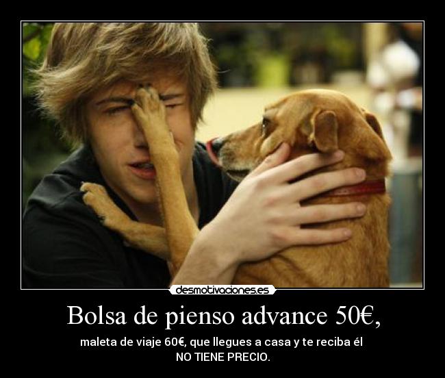 Bolsa de pienso advance 50€, - maleta de viaje 60€, que llegues a casa y te reciba él 
NO TIENE PRECIO.