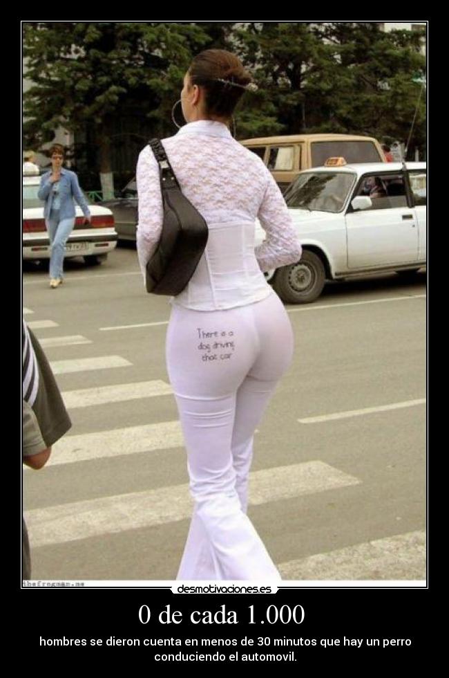 0 de cada 1.000 - hombres se dieron cuenta en menos de 30 minutos que hay un perro
conduciendo el automovil.