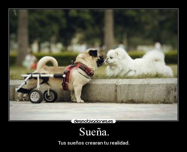 Sueña. -