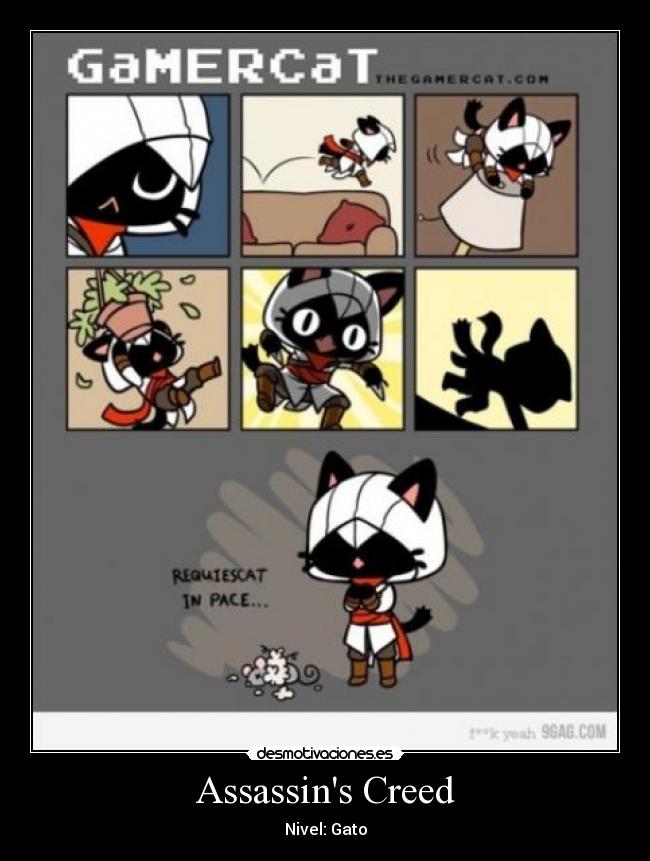 Assassins Creed - Nivel: Gato