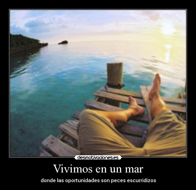 Vivimos en un mar - donde las oportunidades son peces escurridizos