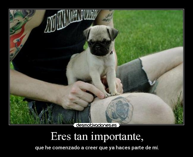 Eres tan importante, - que he comenzado a creer que ya haces parte de mí.