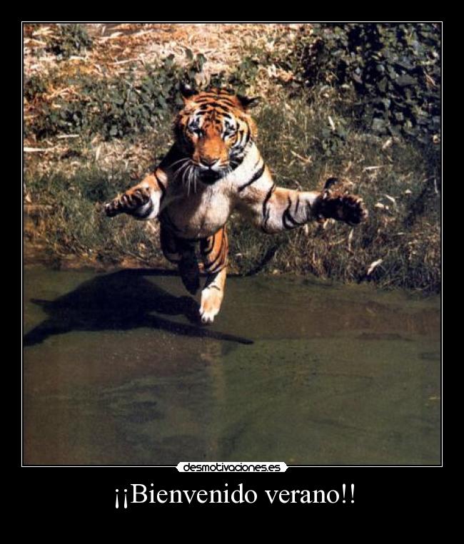 ¡¡Bienvenido verano!! - 