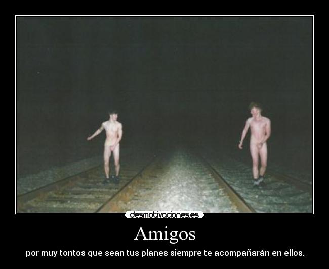 Amigos - por muy tontos que sean tus planes siempre te acompañarán en ellos.