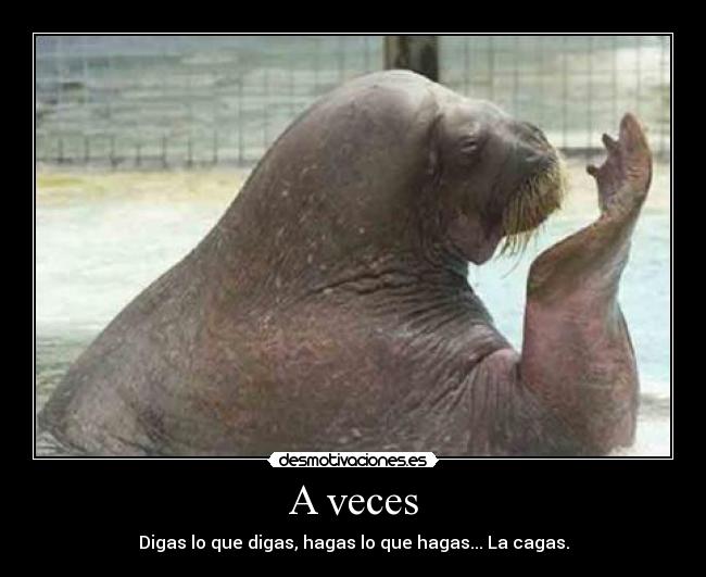 A veces - Digas lo que digas, hagas lo que hagas... La cagas.