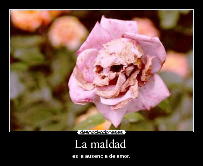 La maldad  - es la ausencia de amor. 