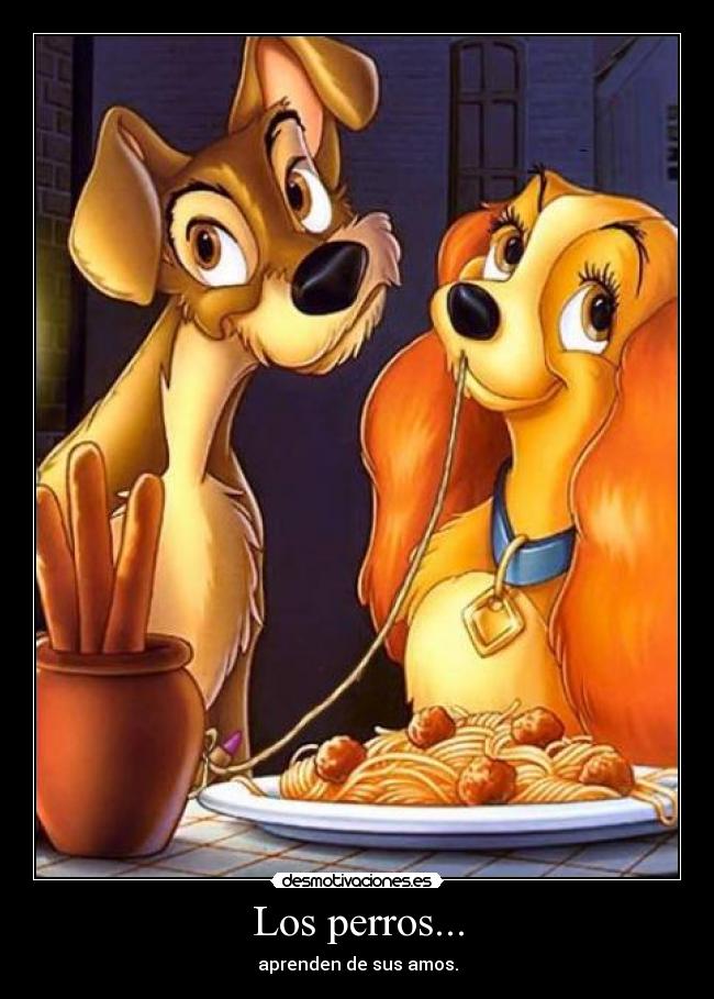 Los perros... - aprenden de sus amos.