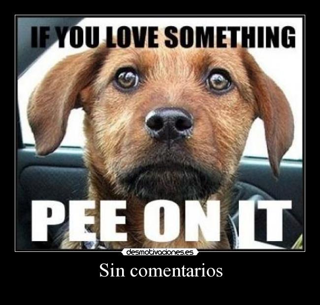 Sin comentarios - 