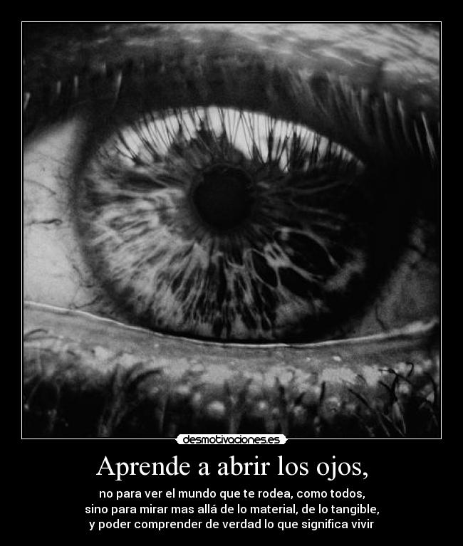 carteles tonysd desmotivaciones