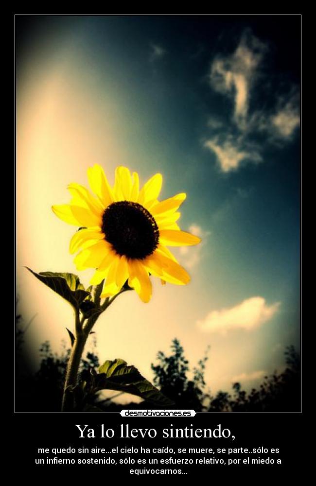 Ya lo llevo sintiendo, -