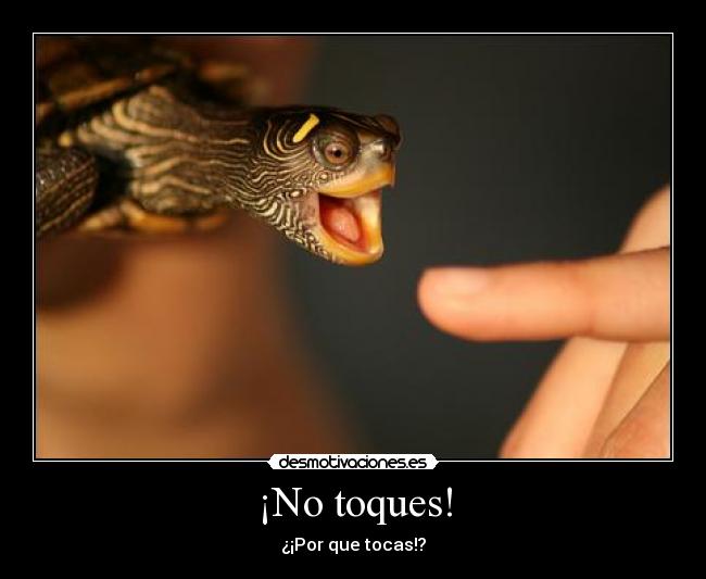 carteles tortuga desmotivaciones