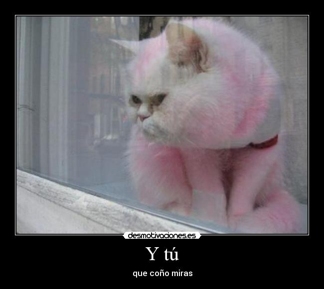 Y tú -