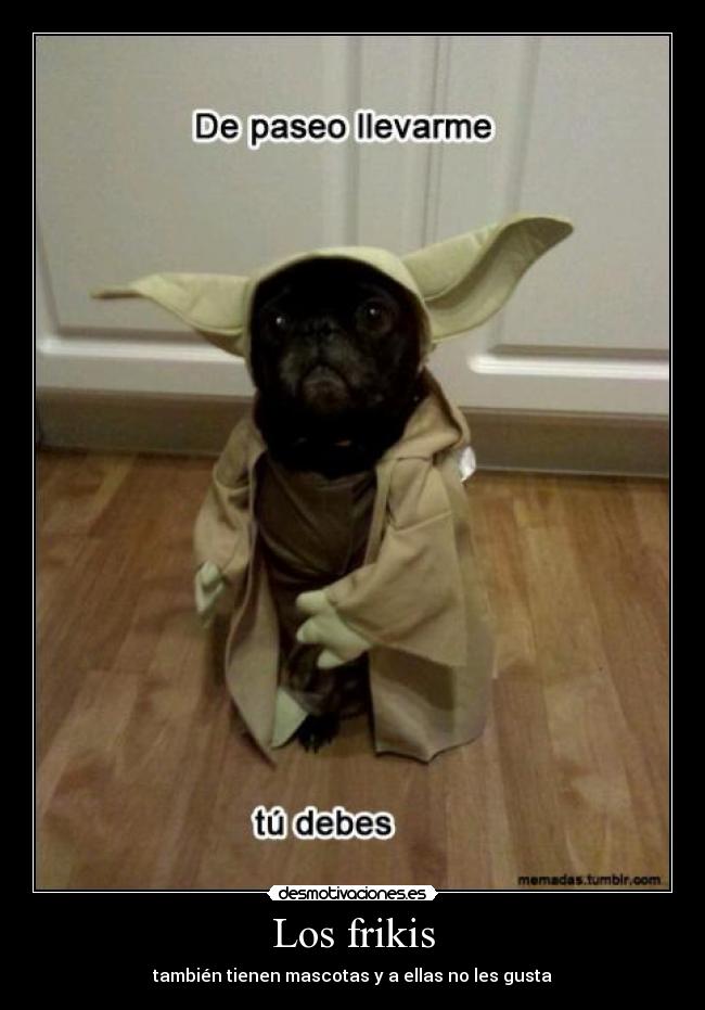 Los frikis - también tienen mascotas y a ellas no les gusta