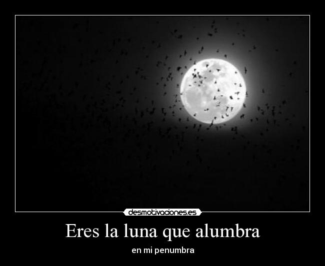 Eres la luna que alumbra - 