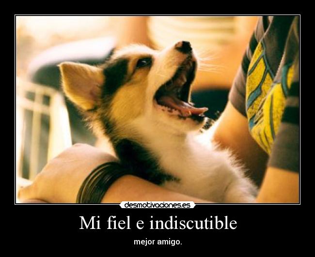 Mi fiel e indiscutible - mejor amigo.