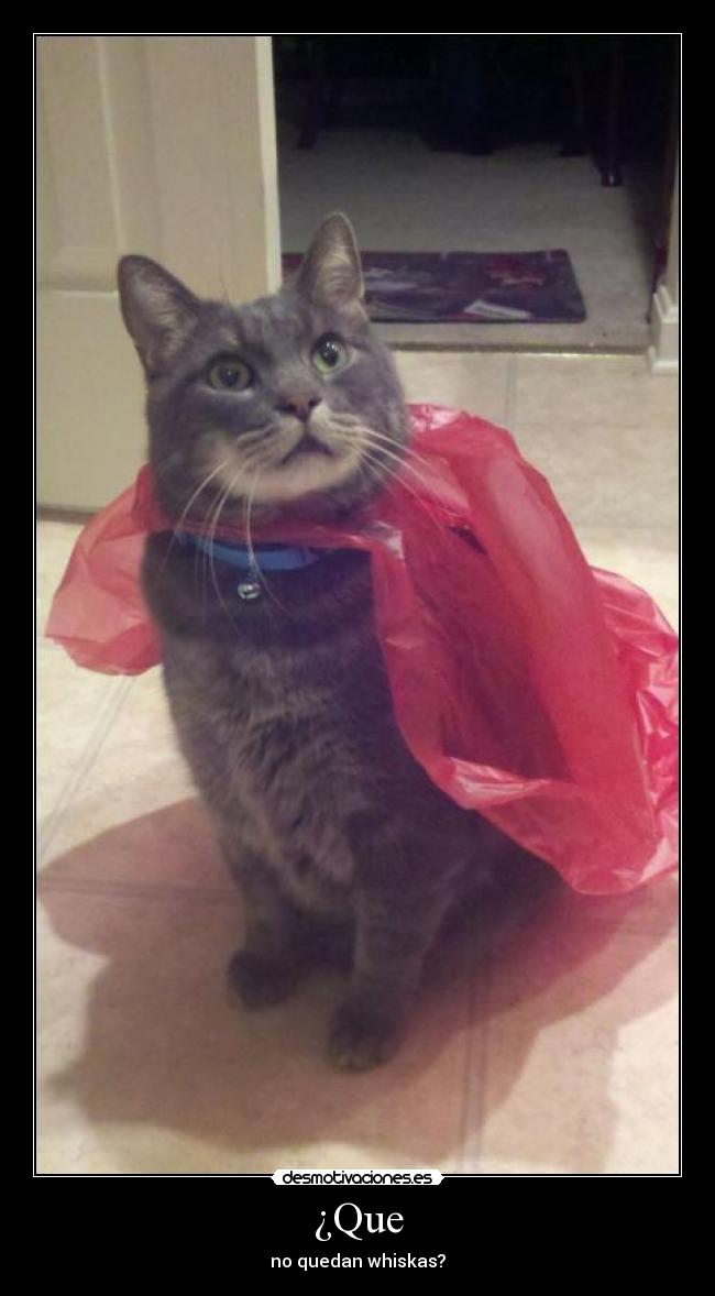 ¿Que - no quedan whiskas?