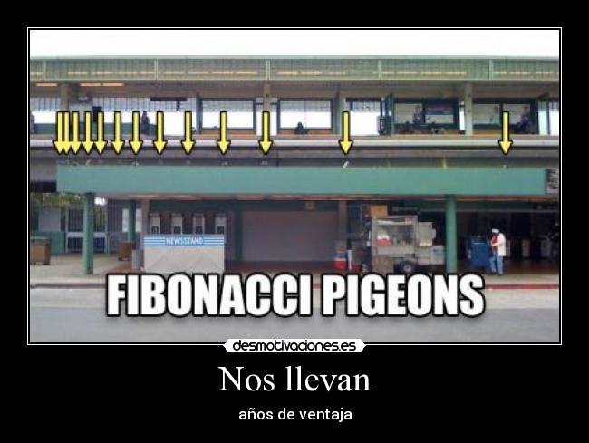 carteles palomas fibonacci secuencia desmotivaciones