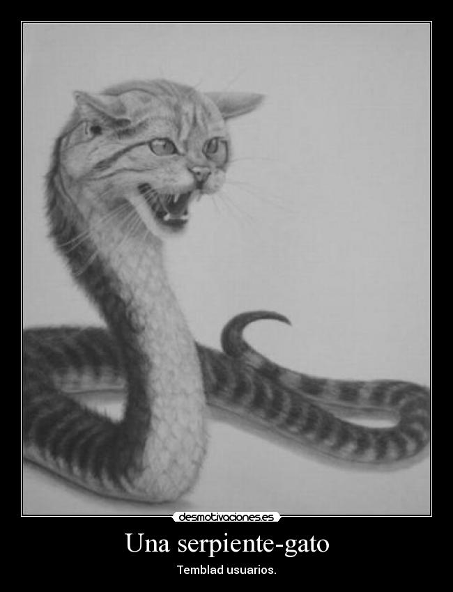 Una serpiente-gato - Temblad usuarios.