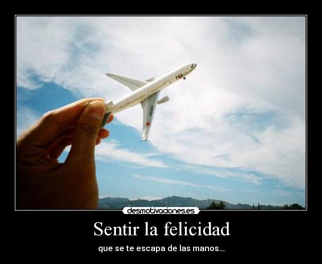 Sentir la felicidad - 