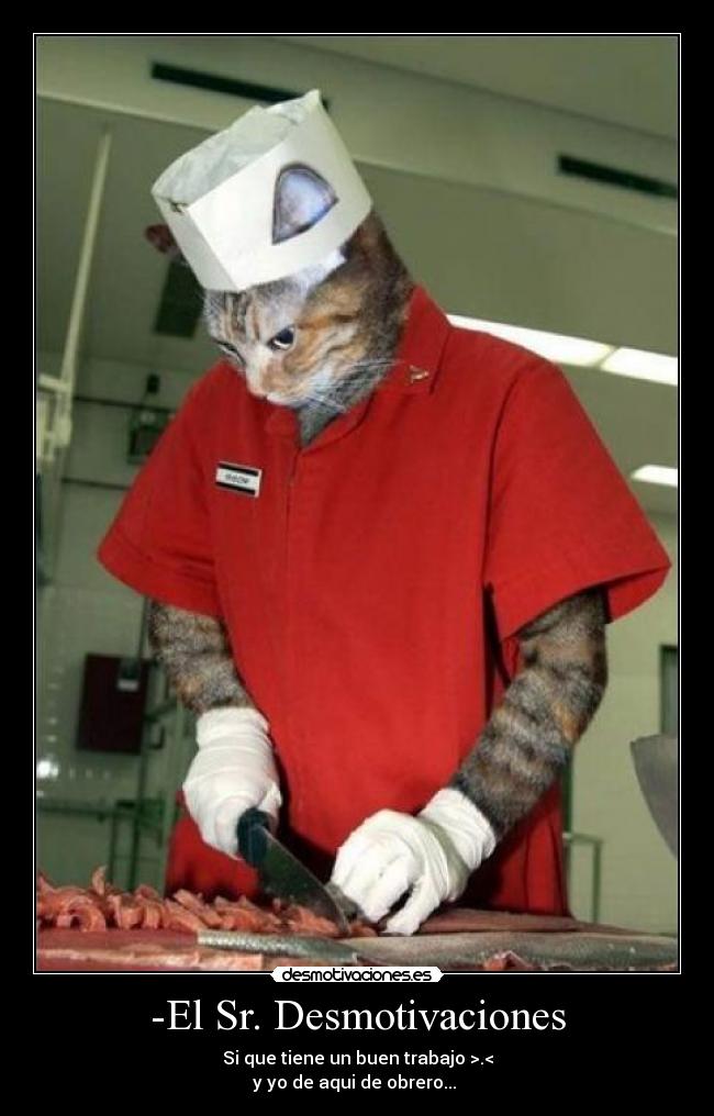 -El Sr. Desmotivaciones - Si que tiene un buen trabajo >.<
y yo de aqui de obrero...
