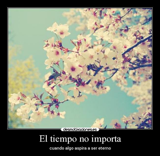 El tiempo no importa - 
