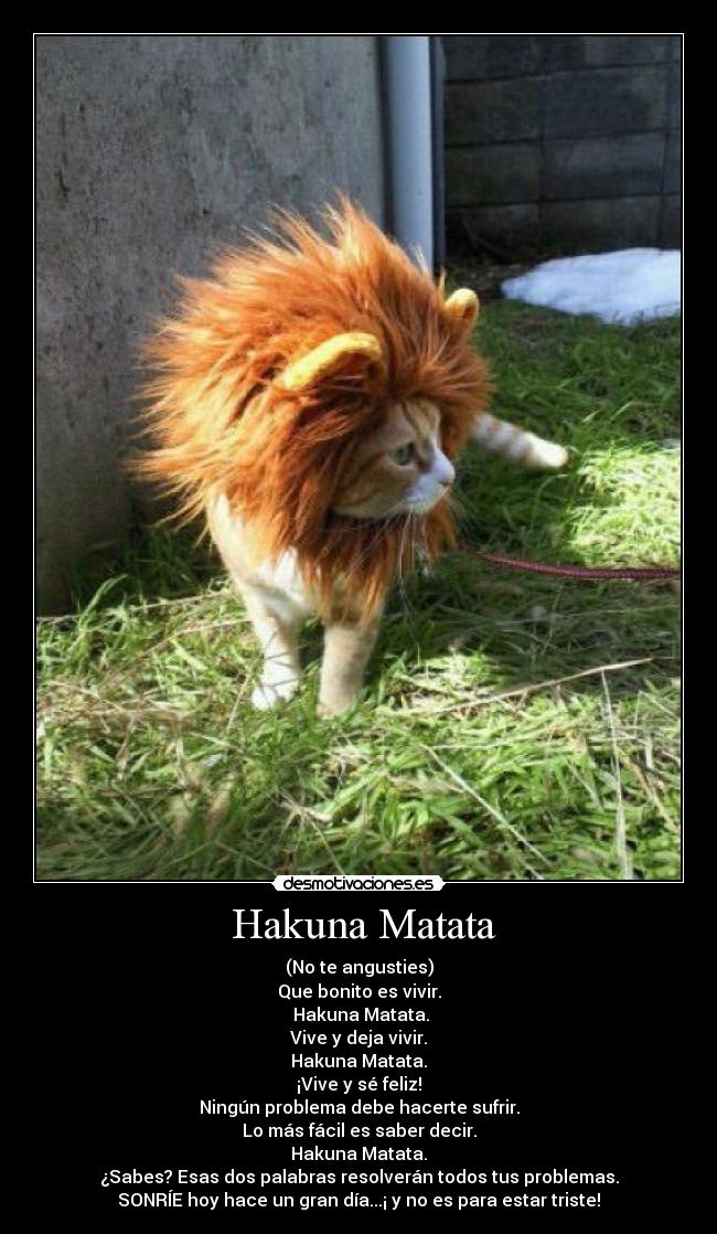  Hakuna Matata - (No te angusties)
Que bonito es vivir.
 Hakuna Matata.
Vive y deja vivir.
Hakuna Matata.
¡Vive y sé feliz!
Ningún problema debe hacerte sufrir.
Lo más fácil es saber decir.
Hakuna Matata.
¿Sabes? Esas dos palabras resolverán todos tus problemas.
SONRÍE hoy hace un gran día...¡ y no es para estar triste!