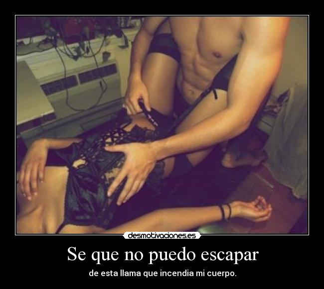 carteles llama desmotivaciones