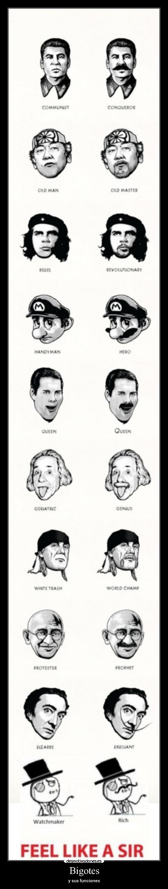 Bigotes - 