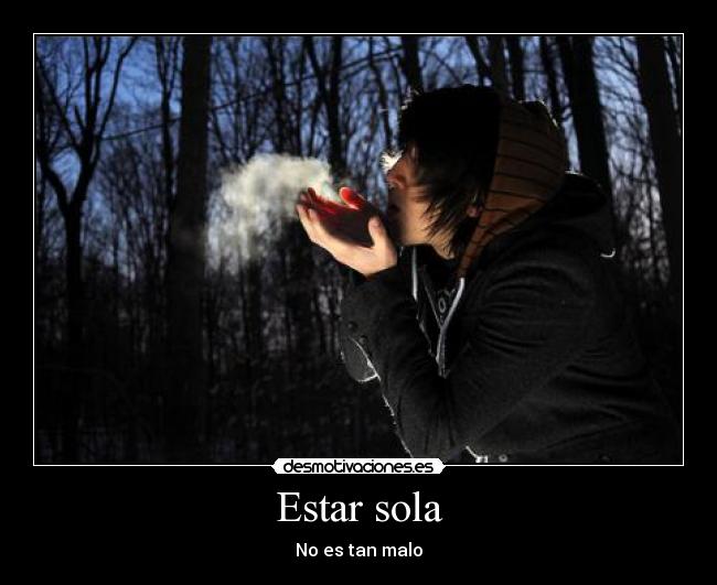 carteles estar sola desmotivaciones